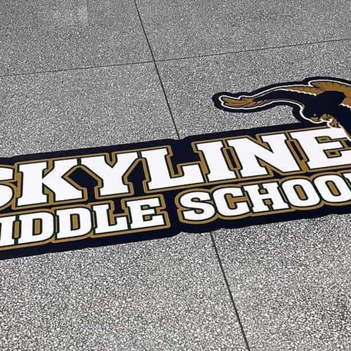 Vinyl Graphics